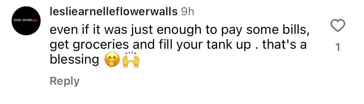 Users approve of Ressa's series (image via @lesliearnelleflowerwalls on Instagram)